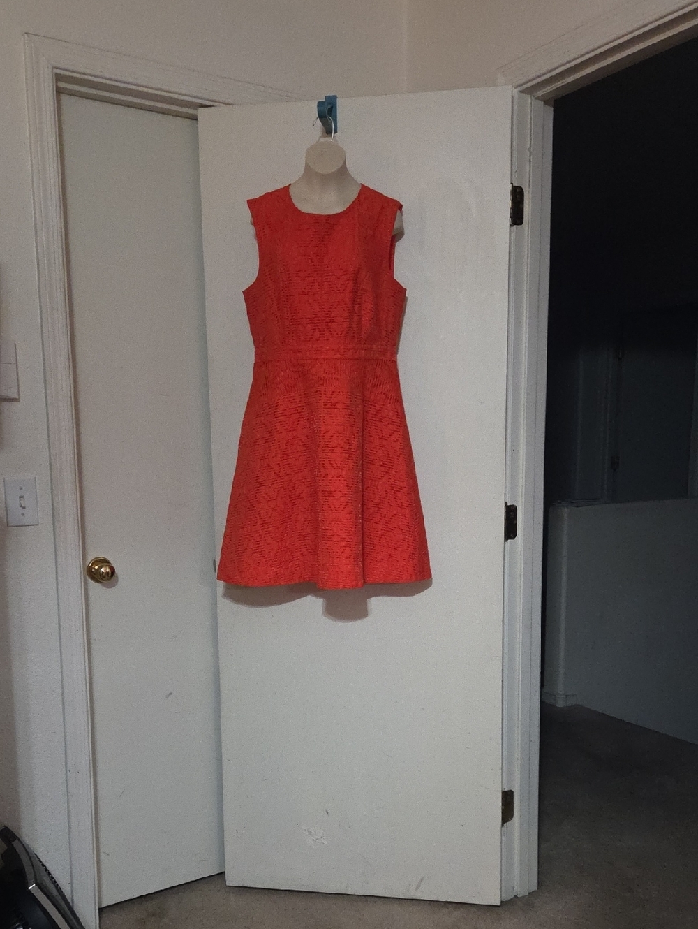 J. Crew Coral Lace Sleeveless Fit-and-Flare Dress